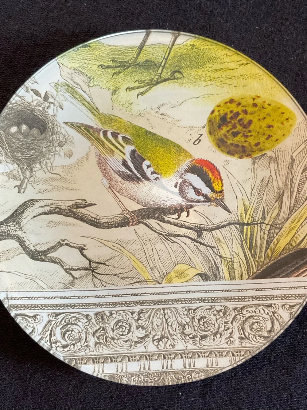 Vintage French Country Decoupage Glass Bird Plates, Each 6” in Diameter Set of 3